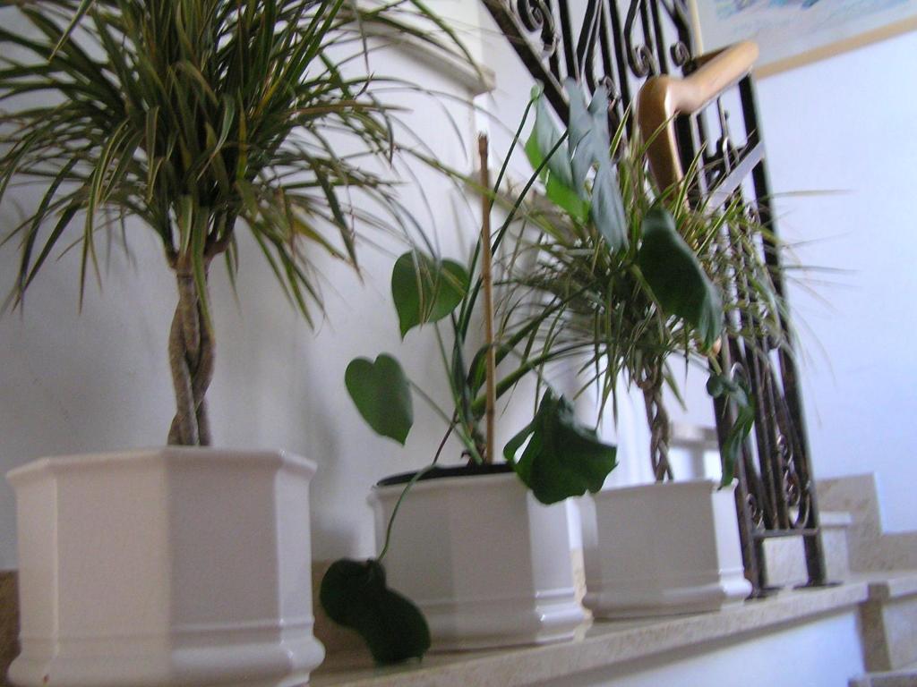 Apartments Paloma Blanca Medulin Zimmer foto