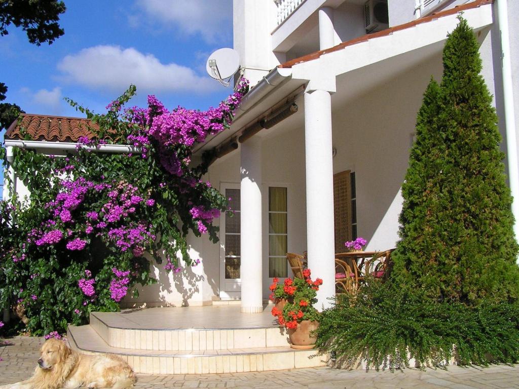 Apartments Paloma Blanca Medulin Zimmer foto
